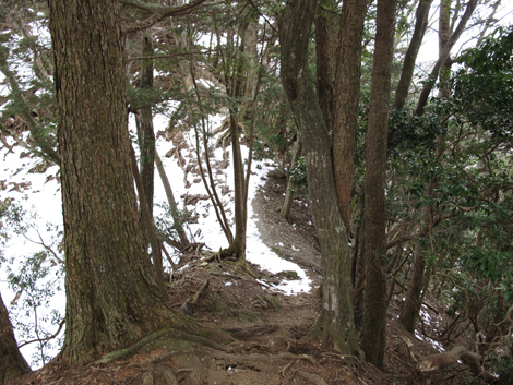 20170113hike (244)